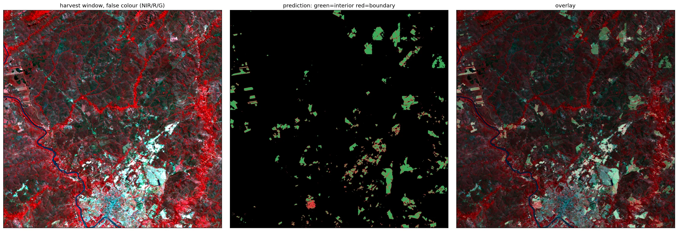 mato_grosso_pasture_small 1986