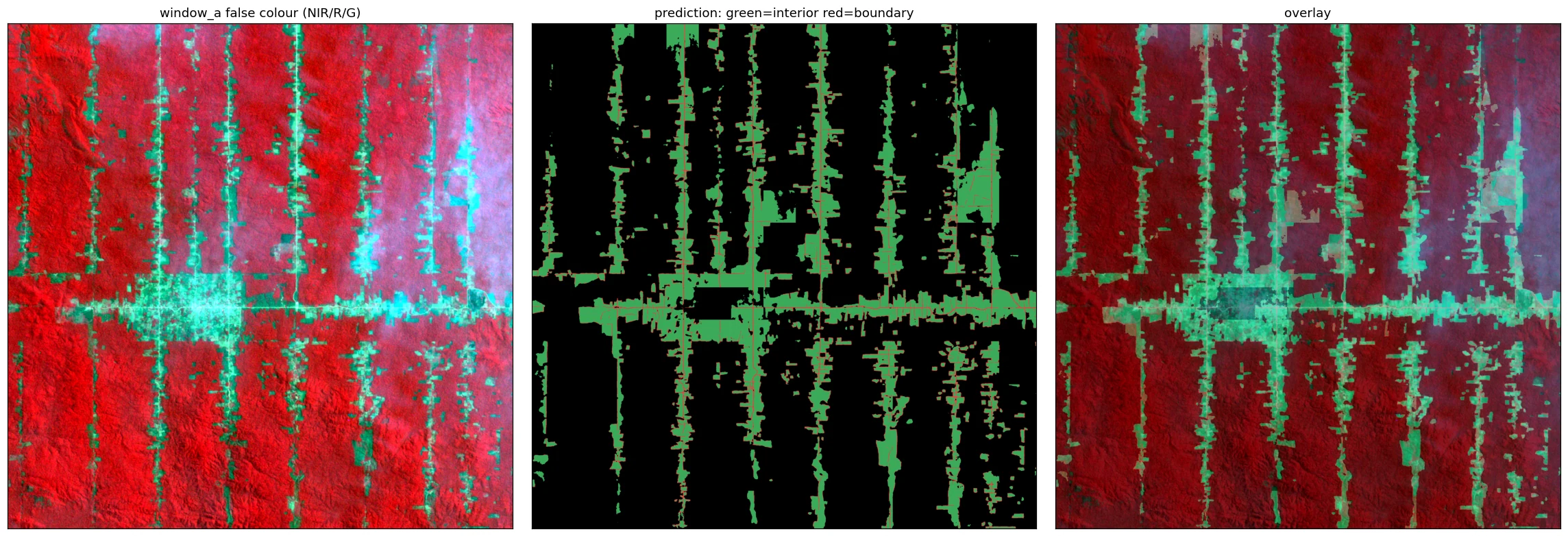 rondonia_pasture_fishbone 1986