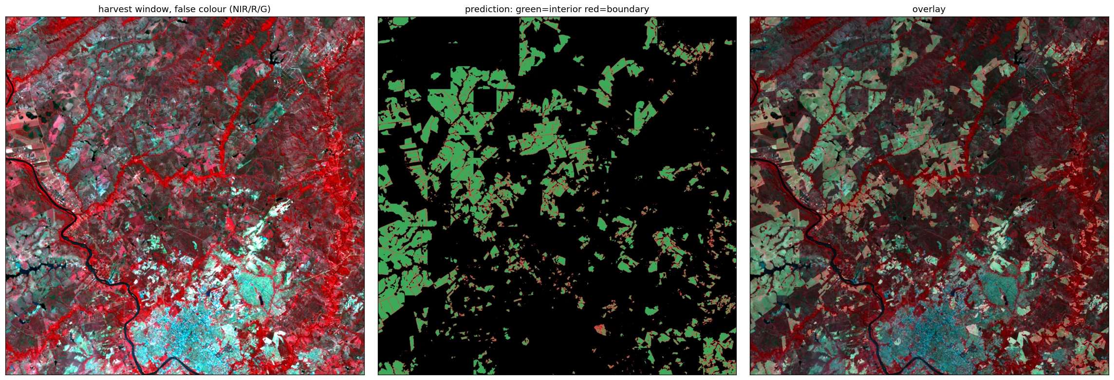 mato_grosso_pasture_small 2005