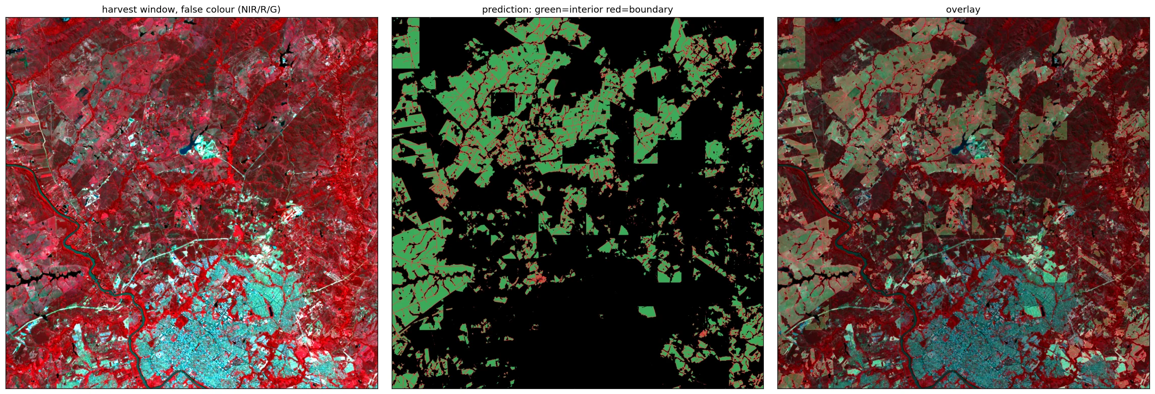 mato_grosso_pasture_small 2024
